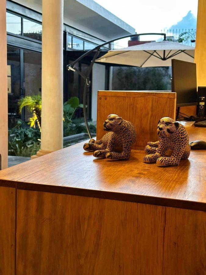 Hotel Boutique Casa San Cristobal San Cristóbal de Las Casas Zewnętrze zdjęcie